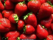 Pulpas y frutas preparadas para elaboracion de helados RAS buenos aires